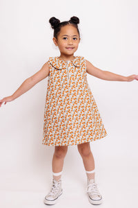 FLORAL PRINT COLLAR DRESS